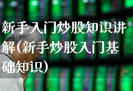 新手入门炒股知识讲解(新手炒股入门基础知识)_https://www.xzdzchf.com_创业板_第1张