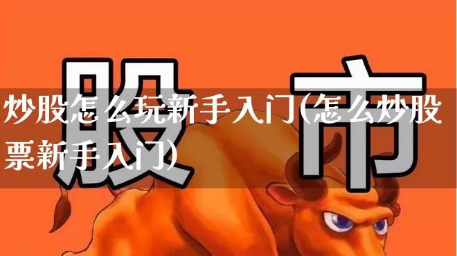 炒股怎么玩新手入门(怎么炒股票新手入门)_https://www.xzdzchf.com_北交所_第1张