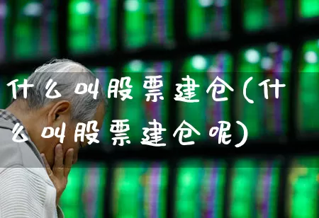 什么叫股票建仓(什么叫股票建仓呢)_https://www.xzdzchf.com_科创板_第1张