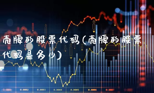 壳牌的股票代码(壳牌的股票代码是多少)_https://www.xzdzchf.com_深交所_第1张