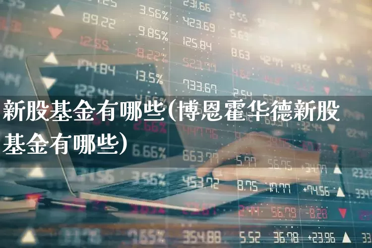 新股基金有哪些(博恩霍华德新股基金有哪些)_https://www.xzdzchf.com_上交所_第1张
