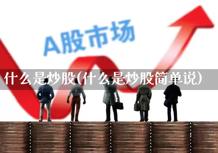 什么是炒股(什么是炒股简单说)_https://www.xzdzchf.com_北交所_第1张