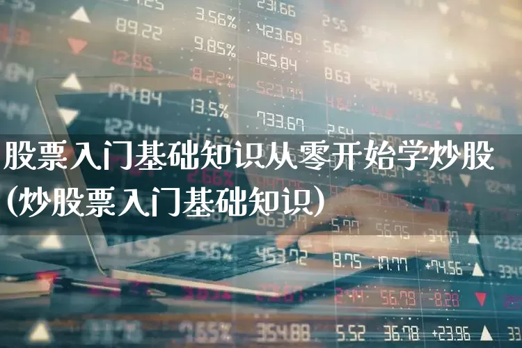 股票入门基础知识从零开始学炒股(炒股票入门基础知识)_https://www.xzdzchf.com_北交所_第1张