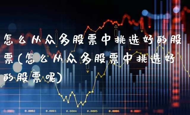怎么从众多股票中挑选好的股票(怎么从众多股票中挑选好的股票呢)_https://www.xzdzchf.com_深交所_第1张