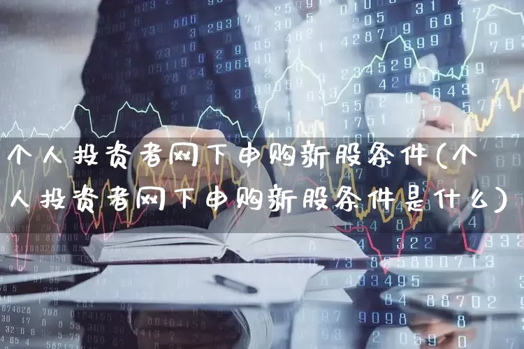 个人投资者网下申购新股条件(个人投资者网下申购新股条件是什么)_https://www.xzdzchf.com_北交所_第1张