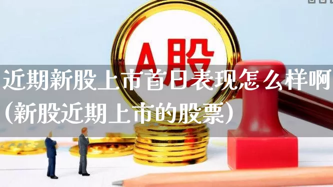 近期新股上市首日表现怎么样啊(新股近期上市的股票)_https://www.xzdzchf.com_北交所_第1张