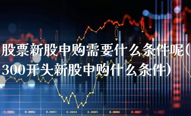 股票新股申购需要什么条件呢(300开头新股申购什么条件)_https://www.xzdzchf.com_创业板_第1张