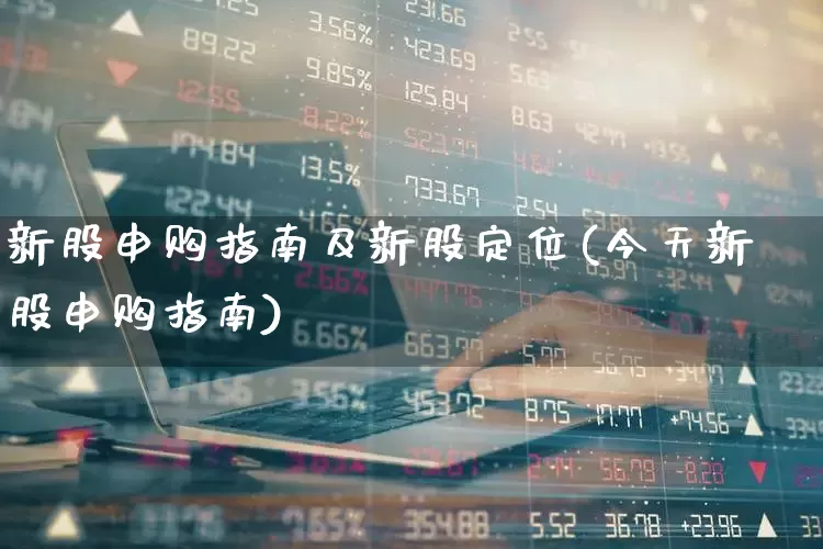 新股申购指南及新股定位(今天新股申购指南)_https://www.xzdzchf.com_创业板_第1张