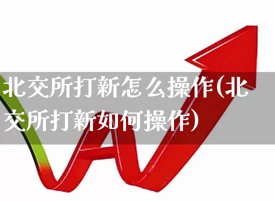 北交所打新怎么操作(北交所打新如何操作)_https://www.xzdzchf.com_上交所_第1张