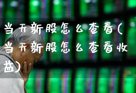 当天新股怎么查看(当天新股怎么查看收益)_https://www.xzdzchf.com_北交所_第1张