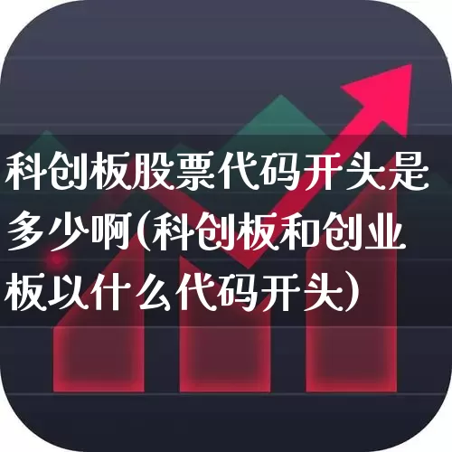 科创板股票代码开头是多少啊(科创板和创业板以什么代码开头)_https://www.xzdzchf.com_北交所_第1张