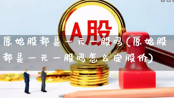 原始股都是一元一股吗(原始股都是一元一股吗怎么定股价)_https://www.xzdzchf.com_深交所_第1张