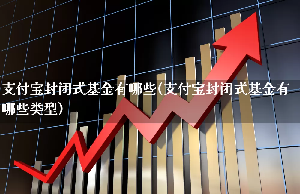 支付宝封闭式基金有哪些(支付宝封闭式基金有哪些类型)_https://www.xzdzchf.com_创业板_第1张