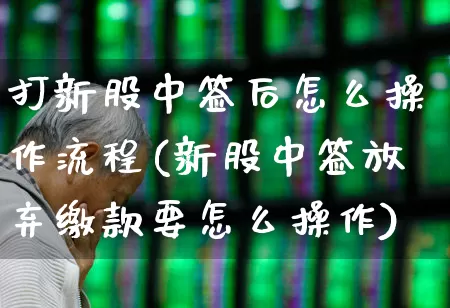 打新股中签后怎么操作流程(新股中签放弃缴款要怎么操作)_https://www.xzdzchf.com_北交所_第1张