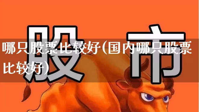哪只股票比较好(国内哪只股票比较好)_https://www.xzdzchf.com_北交所_第1张