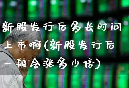 新股发行后多长时间上市啊(新股发行后一般会涨多少倍)_https://www.xzdzchf.com_北交所_第1张