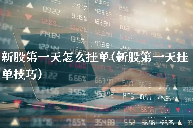 新股第一天怎么挂单(新股第一天挂单技巧)_https://www.xzdzchf.com_科创板_第1张