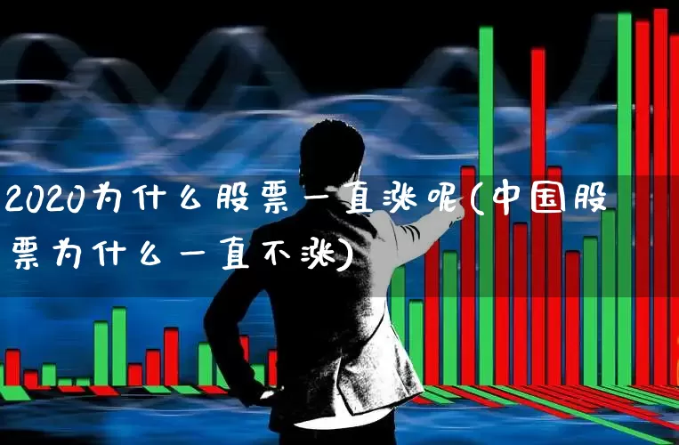 2020为什么股票一直涨呢(中国股票为什么一直不涨)_https://www.xzdzchf.com_北交所_第1张