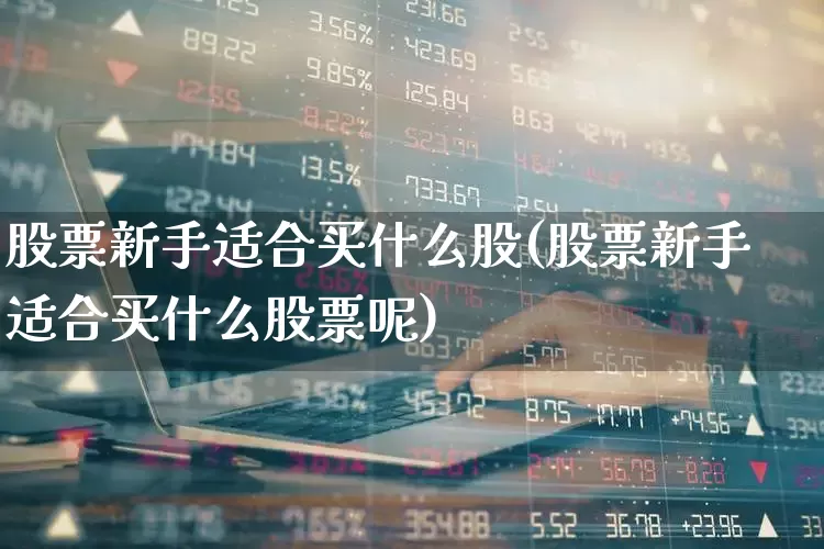 股票新手适合买什么股(股票新手适合买什么股票呢)_https://www.xzdzchf.com_创业板_第1张