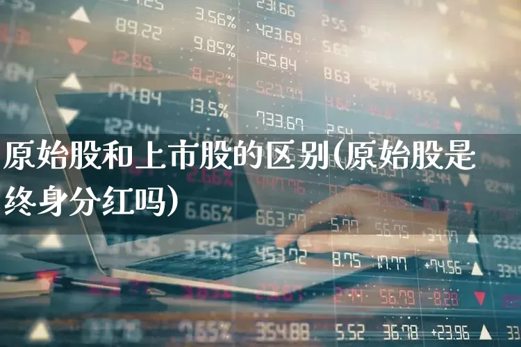 原始股和上市股的区别(原始股是终身分红吗)_https://www.xzdzchf.com_创业板_第1张