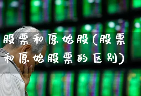 股票和原始股(股票和原始股票的区别)_https://www.xzdzchf.com_科创板_第1张
