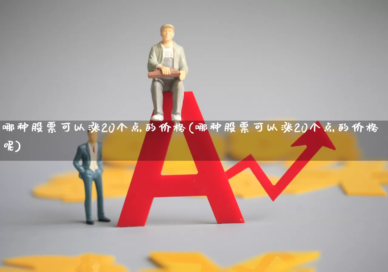 哪种股票可以涨20个点的价格(哪种股票可以涨20个点的价格呢)_https://www.xzdzchf.com_上交所_第1张