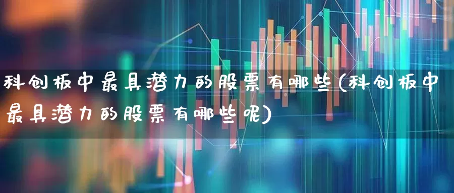 科创板中最具潜力的股票有哪些(科创板中最具潜力的股票有哪些呢)_https://www.xzdzchf.com_科创板_第1张