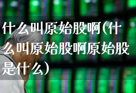 什么叫原始股啊(什么叫原始股啊原始股是什么)_https://www.xzdzchf.com_北交所_第1张