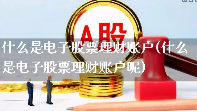 什么是电子股票理财账户(什么是电子股票理财账户呢)_https://www.xzdzchf.com_创业板_第1张