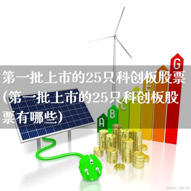 第一批上市的25只科创板股票(第一批上市的25只科创板股票有哪些)_https://www.xzdzchf.com_创业板_第1张