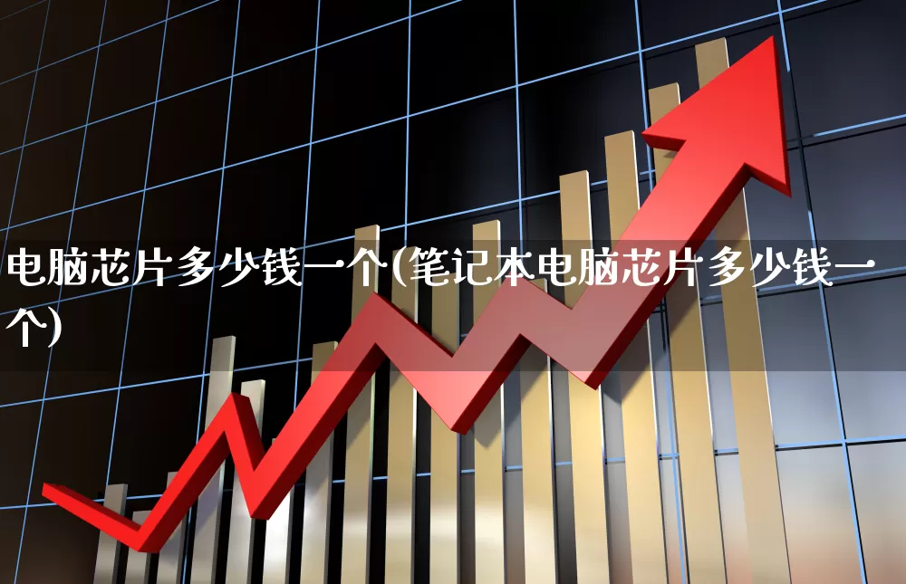 电脑芯片多少钱一个(笔记本电脑芯片多少钱一个)_https://www.xzdzchf.com_北交所_第1张