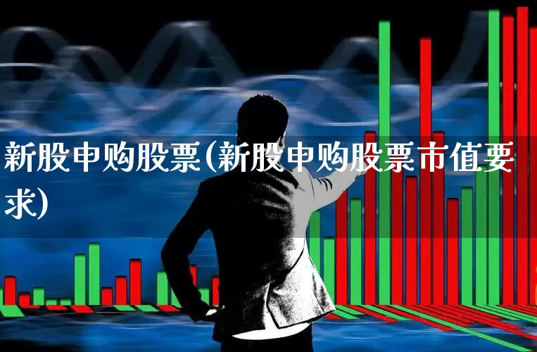 新股申购股票(新股申购股票市值要求)_https://www.xzdzchf.com_科创板_第1张
