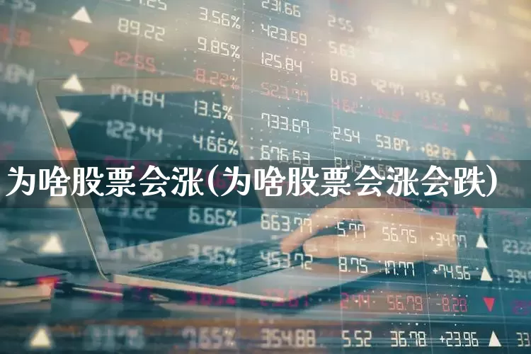 为啥股票会涨(为啥股票会涨会跌)_https://www.xzdzchf.com_科创板_第1张