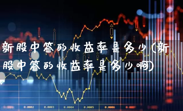 新股中签的收益率是多少(新股中签的收益率是多少啊)_https://www.xzdzchf.com_北交所_第1张