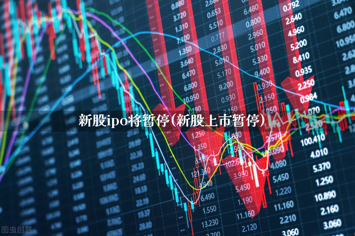 新股ipo将暂停(新股上市暂停)_https://www.xzdzchf.com_北交所_第1张