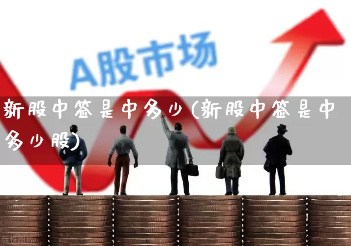 新股中签是中多少(新股中签是中多少股)_https://www.xzdzchf.com_科创板_第1张