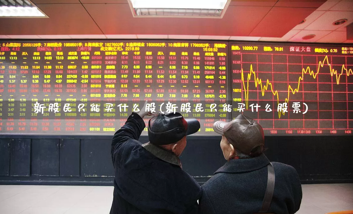 新股民只能买什么股(新股民只能买什么股票)_https://www.xzdzchf.com_深交所_第1张