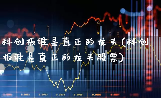 科创板谁是真正的龙头(科创板谁是真正的龙头股票)_https://www.xzdzchf.com_科创板_第1张