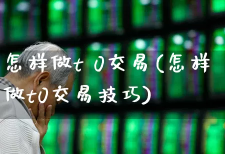 怎样做t 0交易(怎样做t0交易技巧)_https://www.xzdzchf.com_深交所_第1张