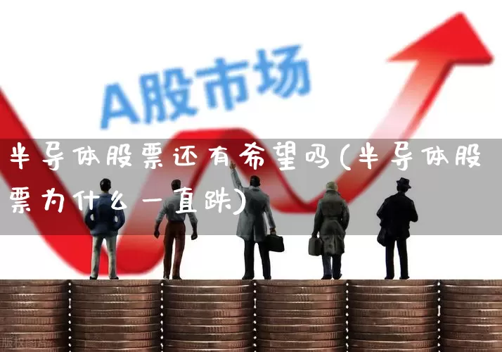 半导体股票还有希望吗(半导体股票为什么一直跌)_https://www.xzdzchf.com_创业板_第1张