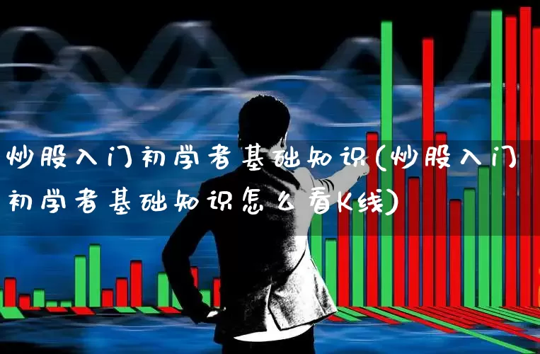 炒股入门初学者基础知识(炒股入门初学者基础知识怎么看K线)_https://www.xzdzchf.com_科创板_第1张