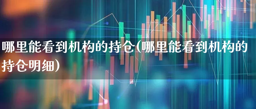 哪里能看到机构的持仓(哪里能看到机构的持仓明细)_https://www.xzdzchf.com_北交所_第1张