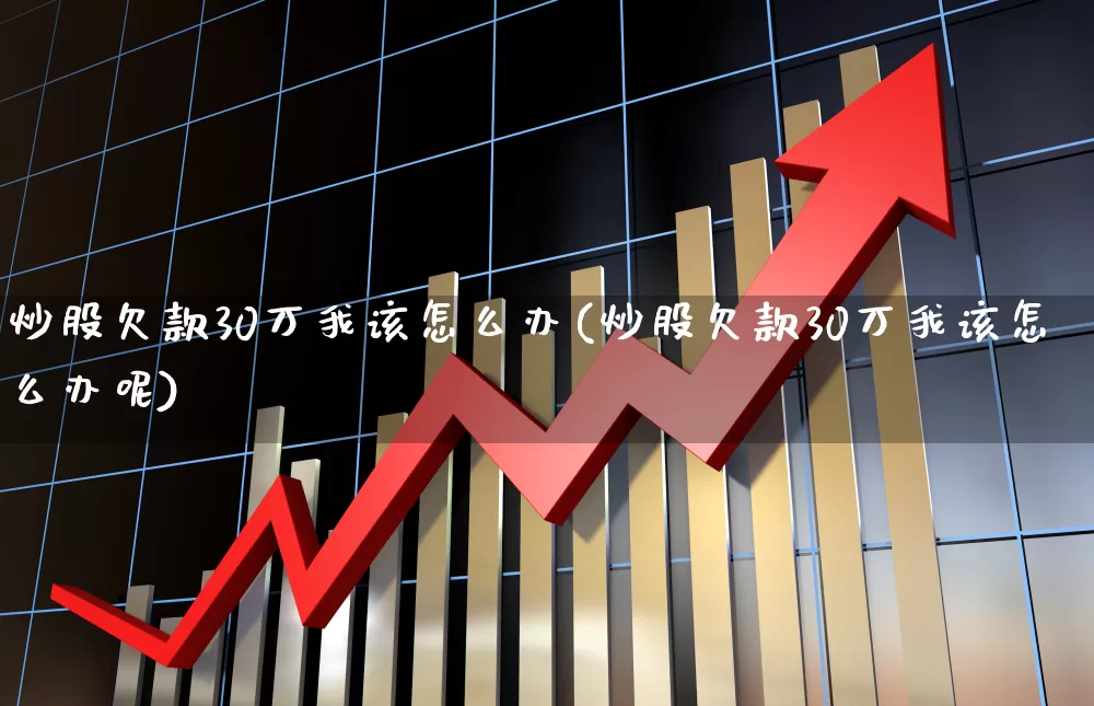 炒股欠款30万我该怎么办(炒股欠款30万我该怎么办呢)_https://www.xzdzchf.com_创业板_第1张