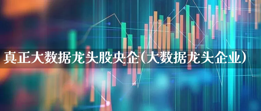 真正大数据龙头股央企(大数据龙头企业)_https://www.xzdzchf.com_创业板_第1张