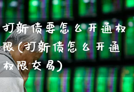 打新债要怎么开通权限(打新债怎么开通权限交易)_https://www.xzdzchf.com_北交所_第1张