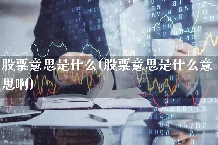 股票意思是什么(股票意思是什么意思啊)_https://www.xzdzchf.com_科创板_第1张