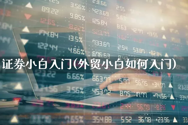 证券小白入门(外贸小白如何入门)_https://www.xzdzchf.com_北交所_第1张