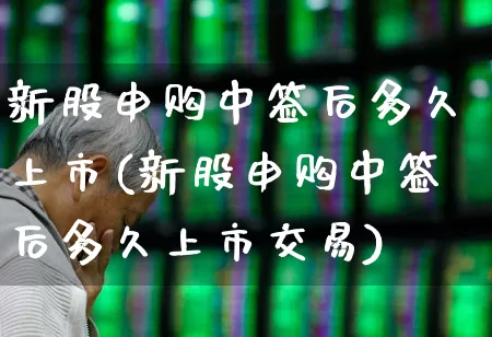 新股申购中签后多久上市(新股申购中签后多久上市交易)_https://www.xzdzchf.com_科创板_第1张