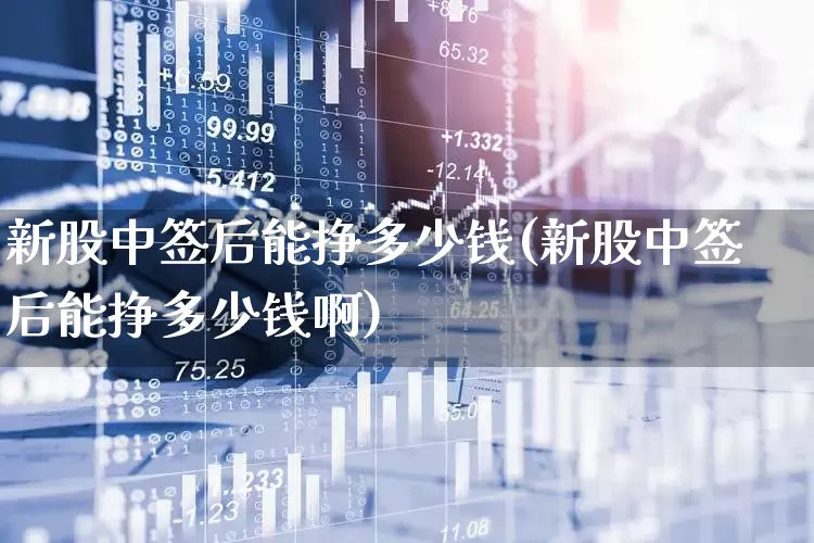 新股中签后能挣多少钱(新股中签后能挣多少钱啊)_https://www.xzdzchf.com_创业板_第1张