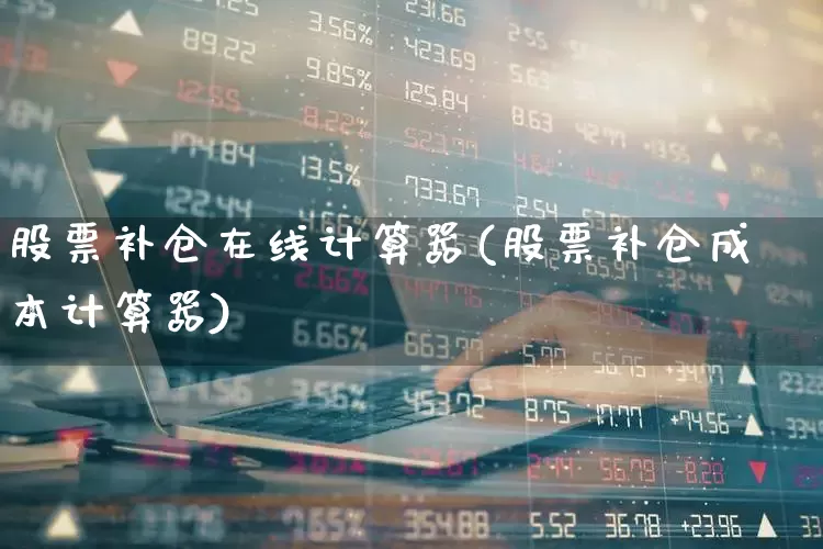 股票补仓在线计算器(股票补仓成本计算器)_https://www.xzdzchf.com_上交所_第1张
